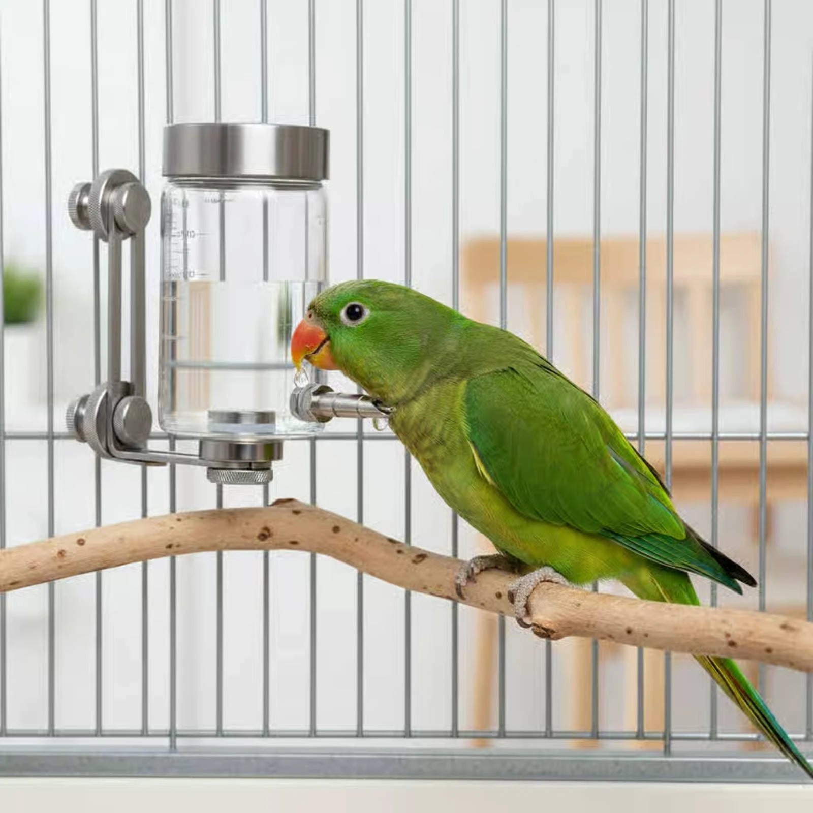 Bird Cage Water Bottle Easy to Refill Stainless Steel Nozzle Automatic Feeder Dispenser for Animal Care Daily Use