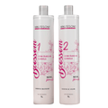 Progressiva Blossom 2x1L