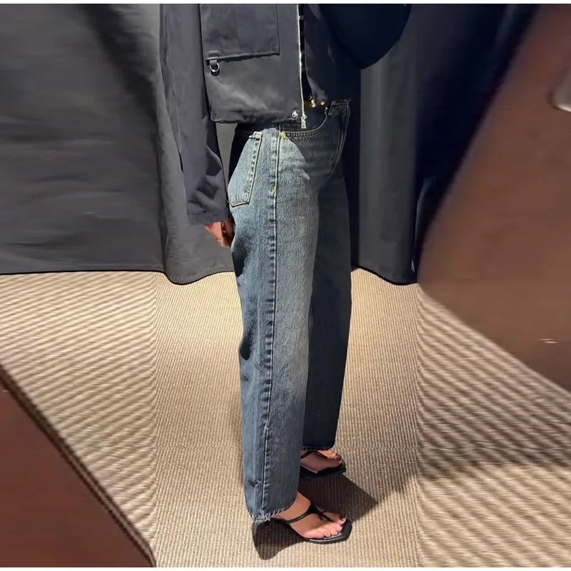 Stand Collar Hidden Button Zipper Cropped Jacket Slouchy Long Sleeve 2026 Spring Chic Commuter Women Outerwear Casual Lady Coat