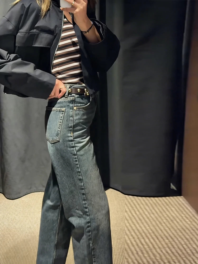Stand Collar Hidden Button Zipper Cropped Jacket Slouchy Long Sleeve 2026 Spring Chic Commuter Women Outerwear Casual Lady Coat